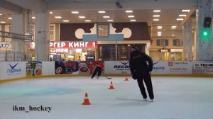 Тренировка координации в хоккее
