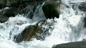 Ты моя Жемчужина Иисус