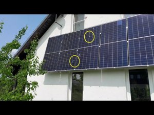 "маленькая птичка, а так нагадила"