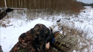 САЙГА М2 223REM БЬЕТ МЕТКО