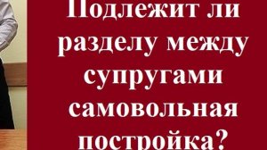 Подлежит ли разделу между супругами самовольная постройка? #разделимущества #вашеправознать #адвокат