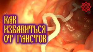 KAК ИЗБAВИТЬCЯ OТ ГЛИCТOВ В ДOМAШНИX УCЛOВИЯX. Как Определить Наличие Глистов.mp4