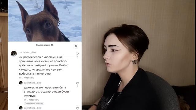 КУПИРОВАНИЕ УШЕЙ - ТО ЧТО НУЖНО ВАШЕЙ СОБАКЕ? |TIKTOK| смотреть онлайн