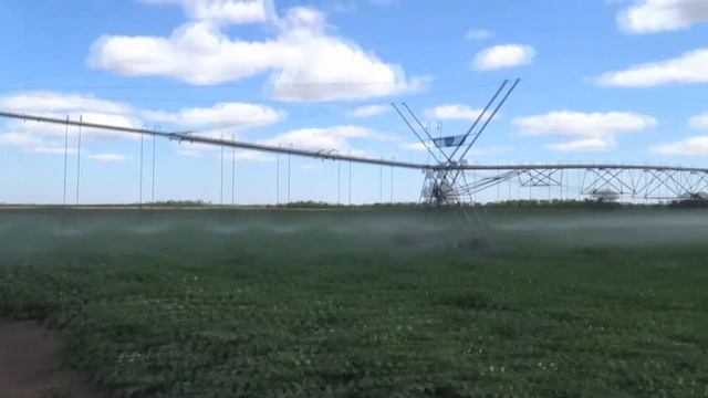 Картофельные поля на орошении. Работа поливальных машин Valley. День поля в КФХ Николая Юзефова смотреть онлайн