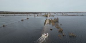 Подтоплена дорога из Белоомута в Ловецкие борки (конец марта - начало апреля 2023)