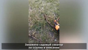 Секатор Садовый | Распаковка и Обзор