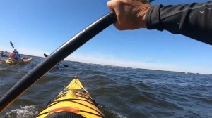 NJ Kayaking: with KAYAK EAST, Barnegat Bay Sept 25 2021