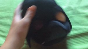 Angry Birds Star Wars level failed