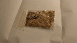 Пришли семена Павловнии Пао Тонг. Новое удивительное дерево в моей коллекции! "Алюминиевое дерево"