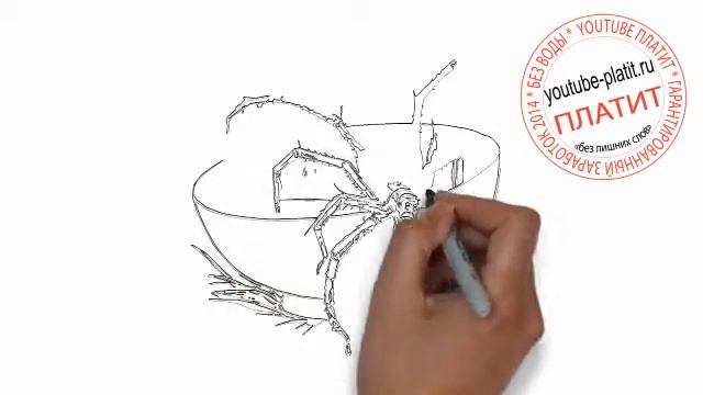 Как нарисовать плавающего паука и паутину смотреть онлайн