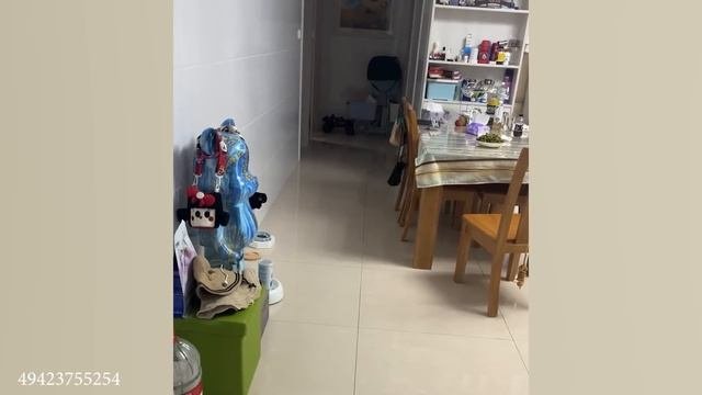 Silliest CATS On Earth ?   Funny Cats Videos 2023