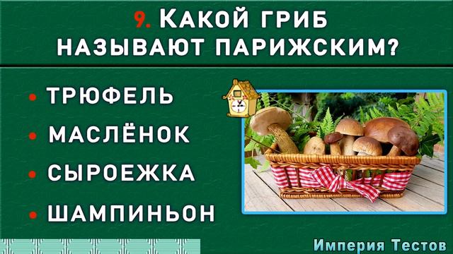 НАСКОЛЬКО СТАР ВАШ МОЗГ? Удивительный тест на эрудицию и общие знания #насколькотыумный #эрудиция