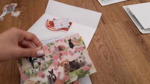 Mail 7!Исходящая и входящая почта!Мой интернет магазин???