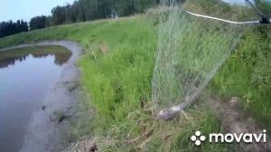 Рыбалка на реке Каргат. Клев карася.