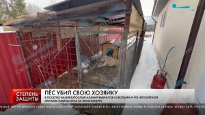 АЛАБАЙ ЗАГРЫЗ СВОЮ ХОЗЯЙКУ