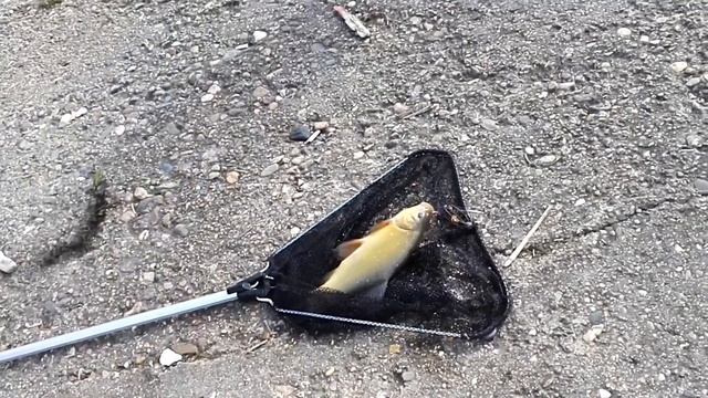 Рыбалка, Варнавинское водохранилище. смотреть онлайн