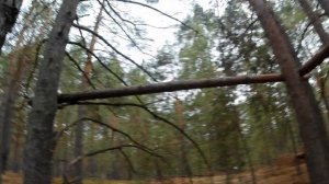 ДОМ на дереве своими руками | ЧАСТЬ I ДЕЛАЕМ ОСНОВУ ДЛЯ ДОМА