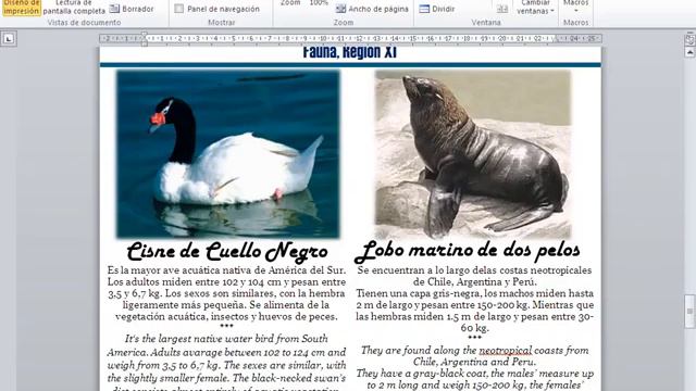 Traducciones de formatos para Turismo en Chile / Formats translations for Tourism in Chile смотреть онлайн