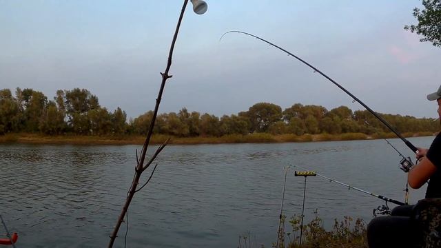 р. Борисовка (пос. Никольское) смотреть онлайн