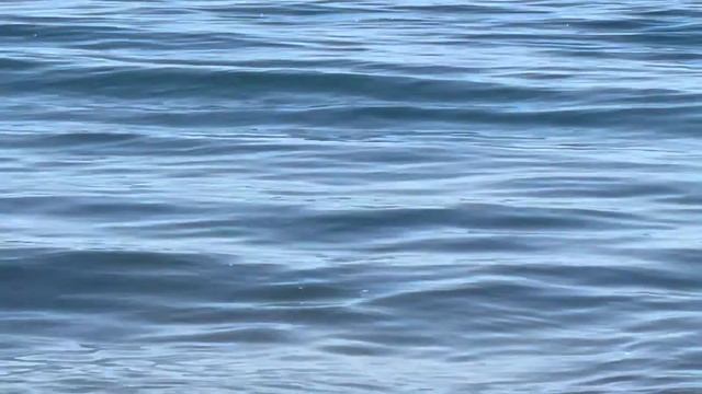 Вдогонку за Пушкиным ✍️? смотреть онлайн