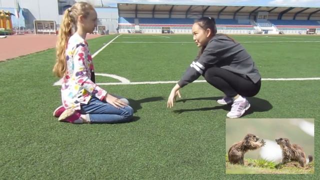 ?Повтори фото животных челлендж?