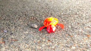 ⚡️ Crushing Crunchy & Soft Things by Car! - EXPERIMENT: HALLOWEEN PUMPKINS vs CAR vs FOOD & MM'Ms