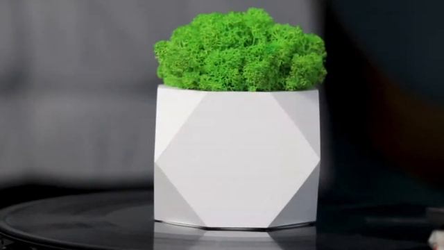 Горшок кашпо со мхом Сube white
