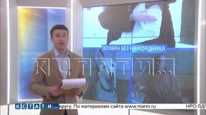 Собака напала на ребенка, а ее хозяин - на мать, защищавшую сына