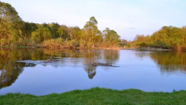 Погар Наши красоты смотреть онлайн