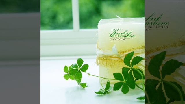 Knock of the Sunshine смотреть онлайн