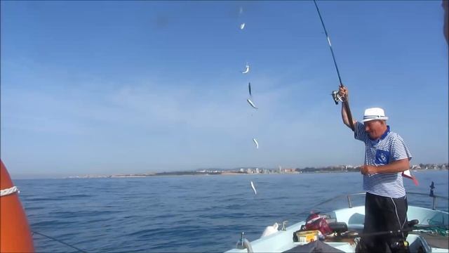 Морская рыбалка на Солнечном Берегу и Несебре. Болгария.