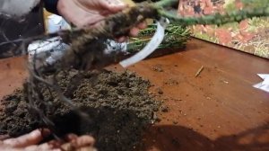 Обзор посылки из питомника "Розы Вдохновения". Краснодар. Хорошее качество! #розывдохновения