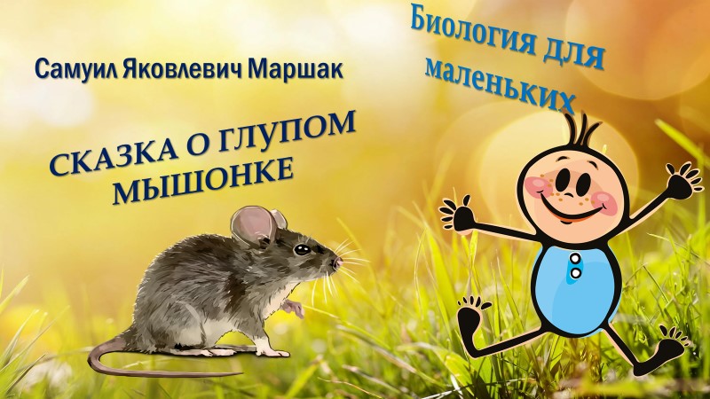 С.Я. Маршак Сказка о глупом мышонке
