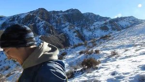 охота на зайца в горах Казахстана