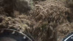 Динамика выращивания ГЗК