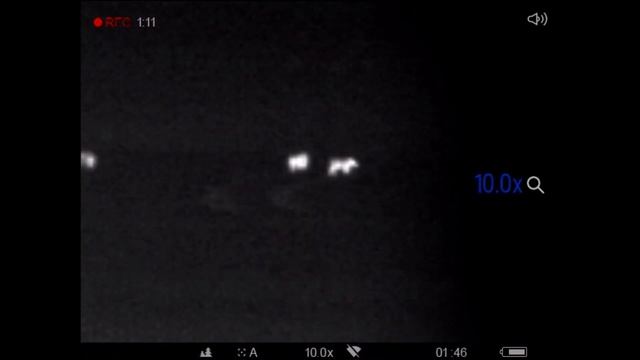 PULSAR Accolade 2 XP50 LRF смотреть онлайн