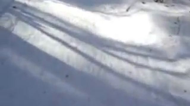 Лыжня на Браславских озёрах смотреть онлайн