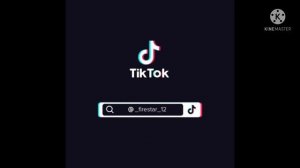 //большая подборка//коты-воители//тик ток