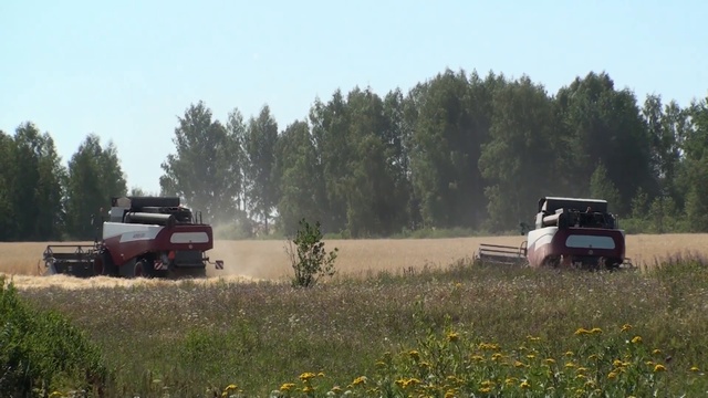 2 ACROS 560, уборка урожая.