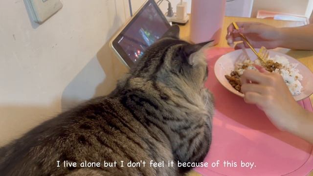 Living Alone in the Philippines ep. 2 ? | Unboxing my school shoes | Quick Grocery Run ? смотреть онлайн