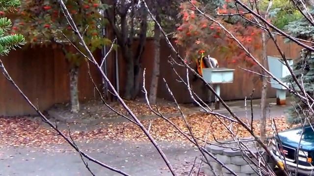 #434 США Аляска Анкоридж Уборка в квартире и во дворе смотреть онлайн