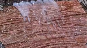 "Поморская быль".The coast-dweller's true story (Eng.sub)