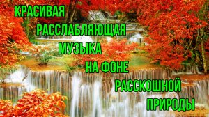 10 минут расслабляющей музыки для медитации, отдыха или сна