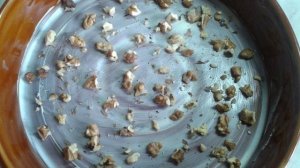 Торт без муки