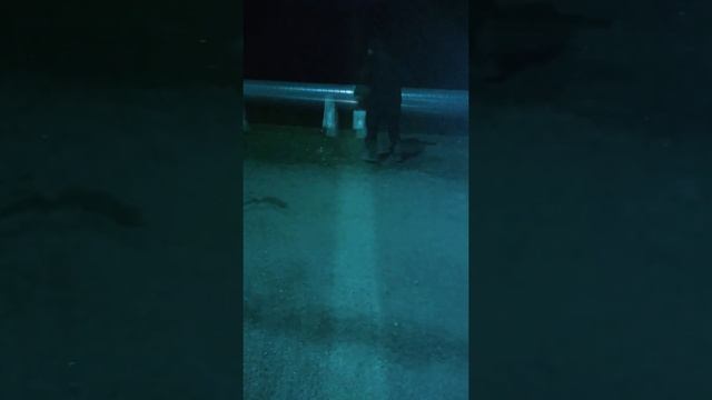 ПРИКОЛИ ⚠️Бухарик зажигает (Полька) +18?? смотреть онлайн