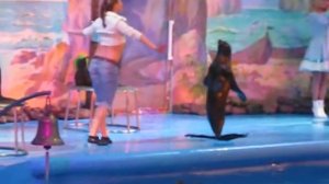 Морские котики танцуют