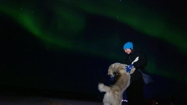 Aurora Village Video Аврора Вилладж Видео Северное Сияние #аврора #aurora #nortnernlights #мурманск