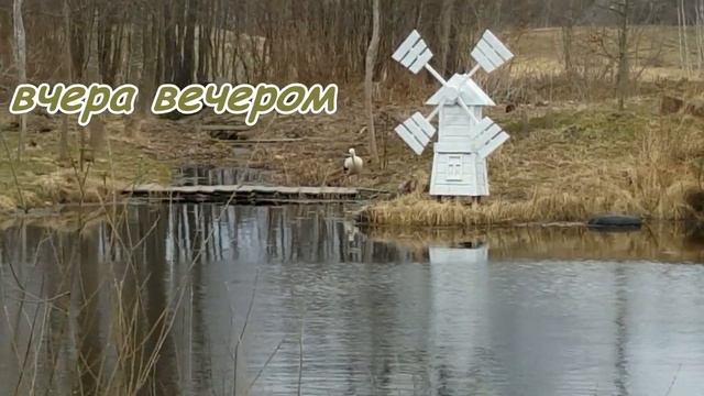 Новые колеса для МТЗ09Н. Новые дрова для теплицы.