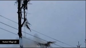 Замкнули провода линии электропередач от упавшей ветки ,ЛЭП