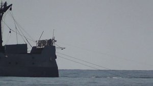 Траловый промысел у Меганома. Борт UA-0083 "Комета Галлея"